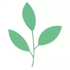 Result of Project 1